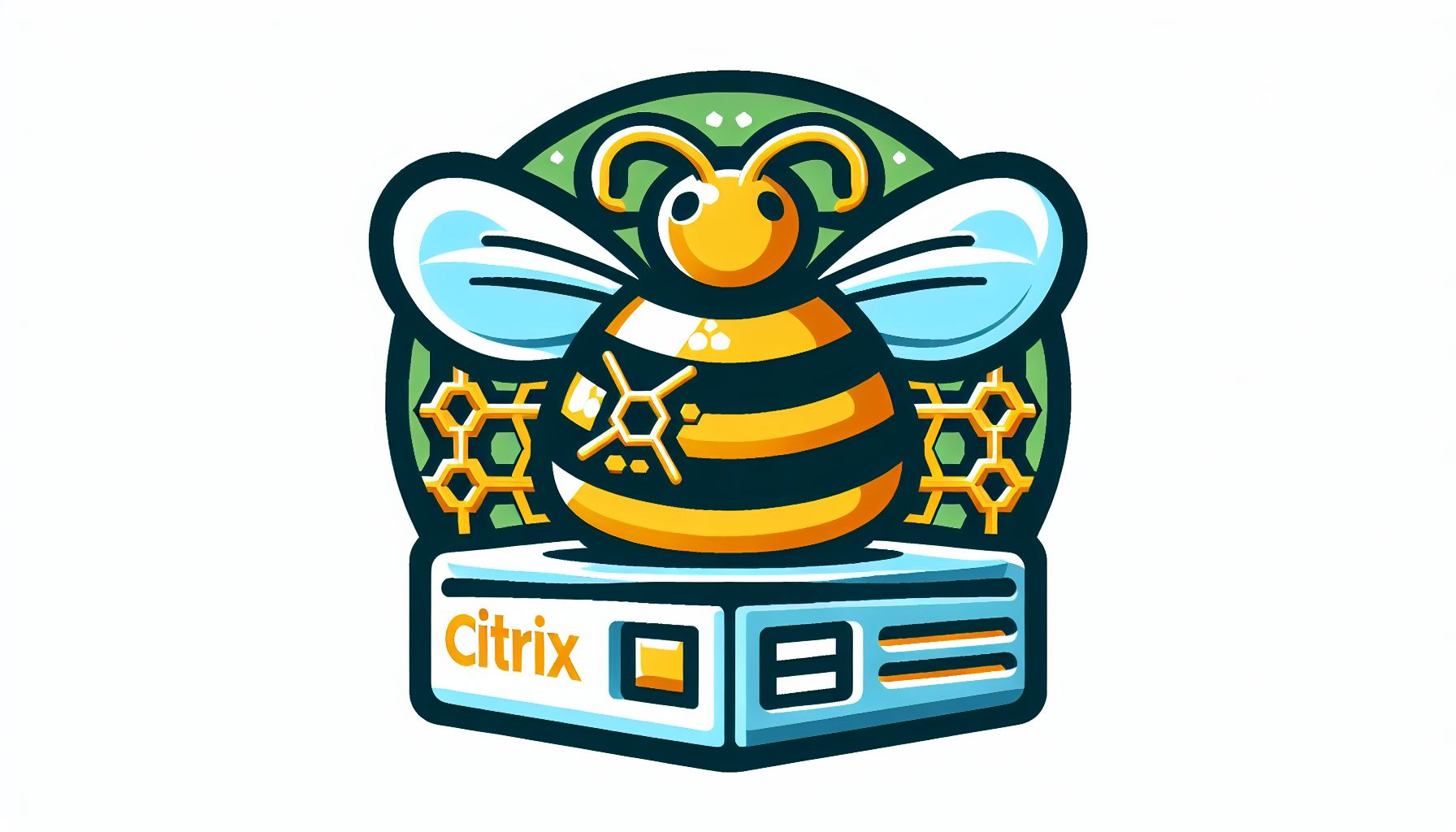 Honeypot System Citrix Honeypot auf vizoo.de